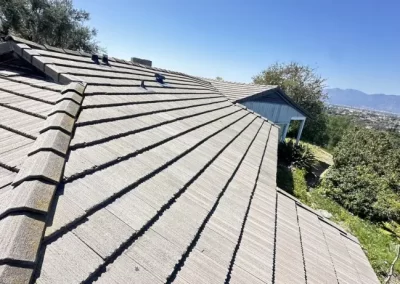 Roofing Company (20)